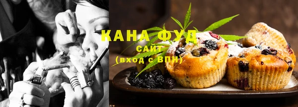 индика Карпинск