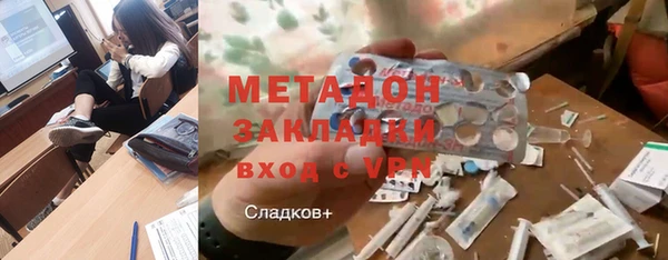 индика Карпинск