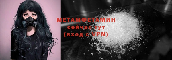 индика Карпинск