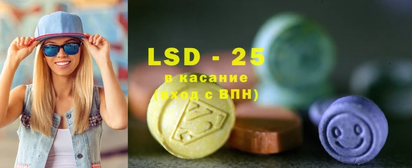 индика Карпинск