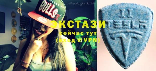 индика Карпинск