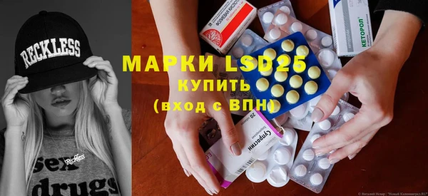 индика Карпинск