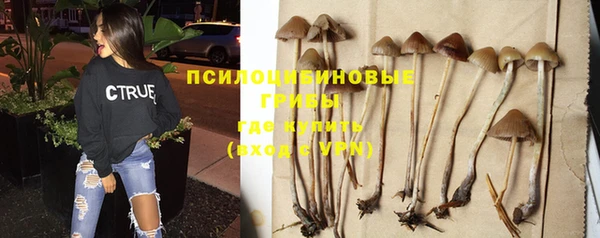 скорость Карталы