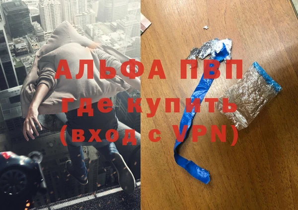 индика Карпинск