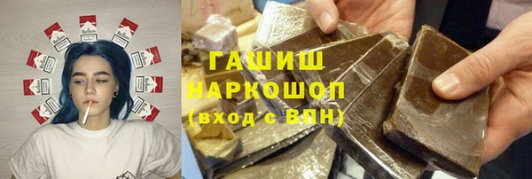 индика Карпинск