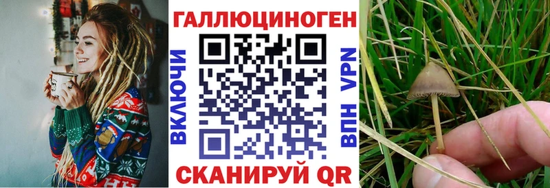 Псилоцибиновые грибы Psilocybine cubensis  Купить закладки  Билибино 